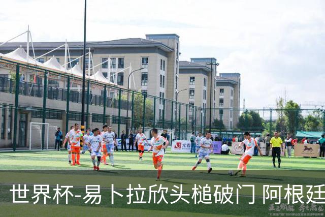 世界杯-易卜拉欣头槌破门 阿根廷失点半场0-1落后埃及