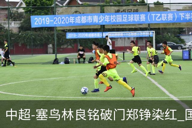 中超-塞鸟林良铭破门郑铮染红 国安2-0泰山取三连胜